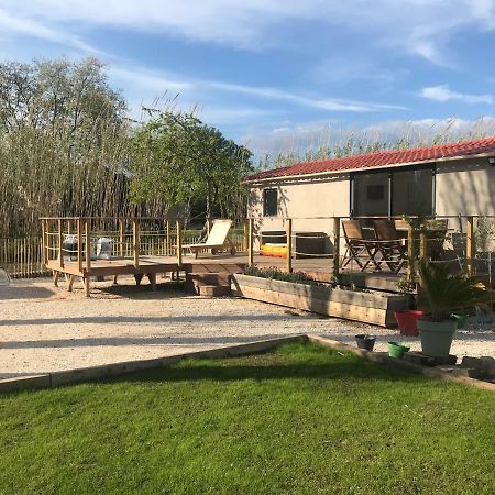 耶尔Tiny House Sur La Cote D'Azur别墅 外观 照片
